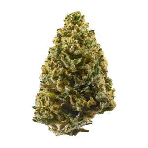 Buy Northern Lights strain online in Europe - premium cannabis for relaxation and pain relief.