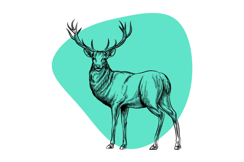 Buy psychedelics in Finland, including psilocybin mushrooms, LSD, MDMA, and DMT from PsyDeals Europe, offering safe and discreet options for mental exploration.