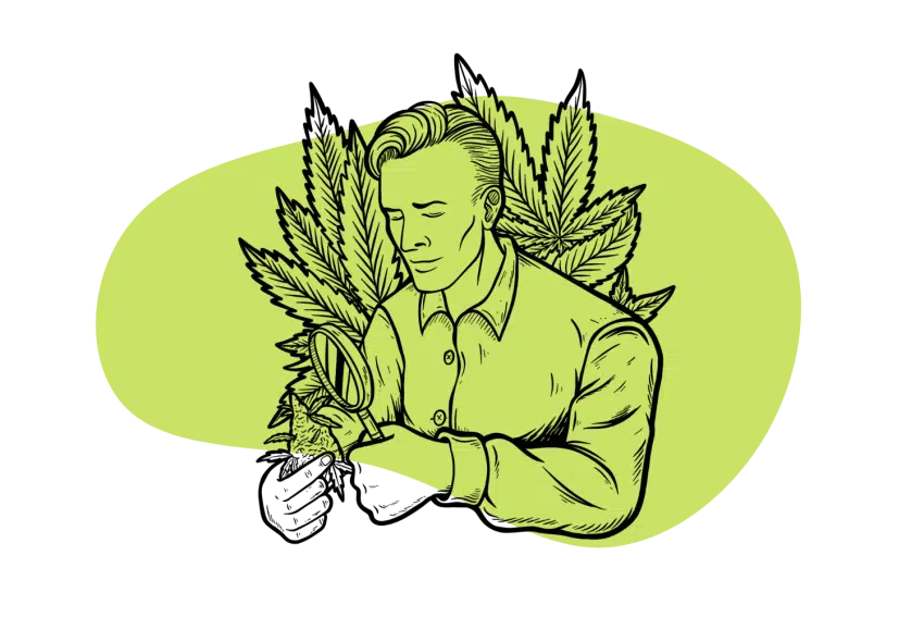 Buy weed near me in Belgium – top-grade marijuana available online.